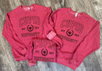 Load image into Gallery viewer, Cupid University Sweatshirt on Heather Vintage Red

