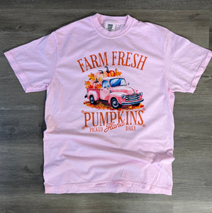 Fall 2025: Farm Fresh Pumpkin on CC Blossom