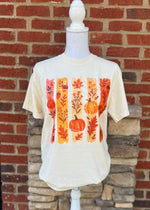 Load image into Gallery viewer, Fall 2025: Fall Stripes on Ivory CC
