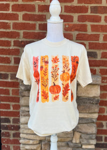 Fall 2025: Fall Stripes on Ivory CC