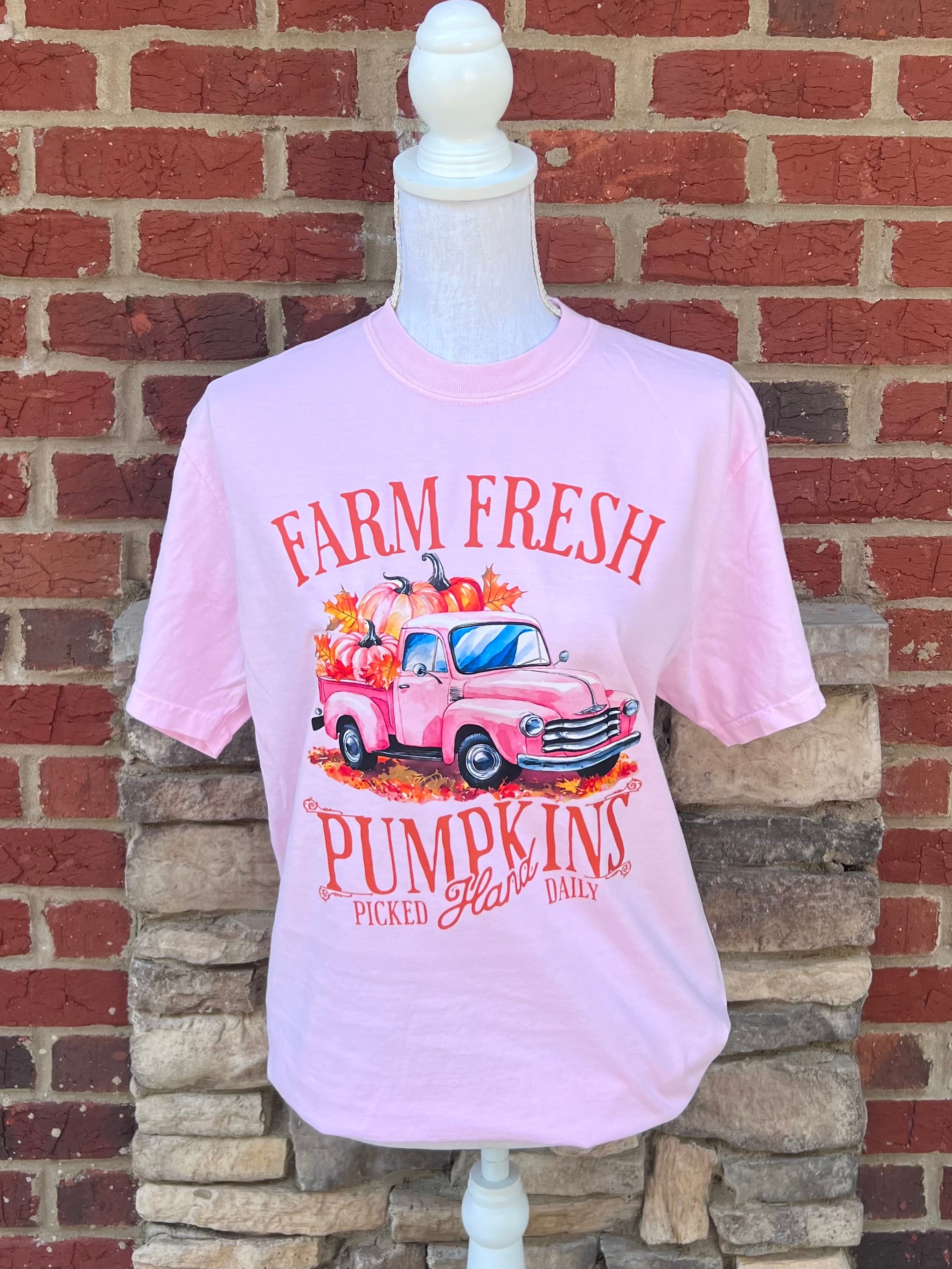 Fall 2025: Farm Fresh Pumpkin on CC Blossom