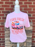 Load image into Gallery viewer, Fall 2025: Farm Fresh Pumpkin on CC Blossom
