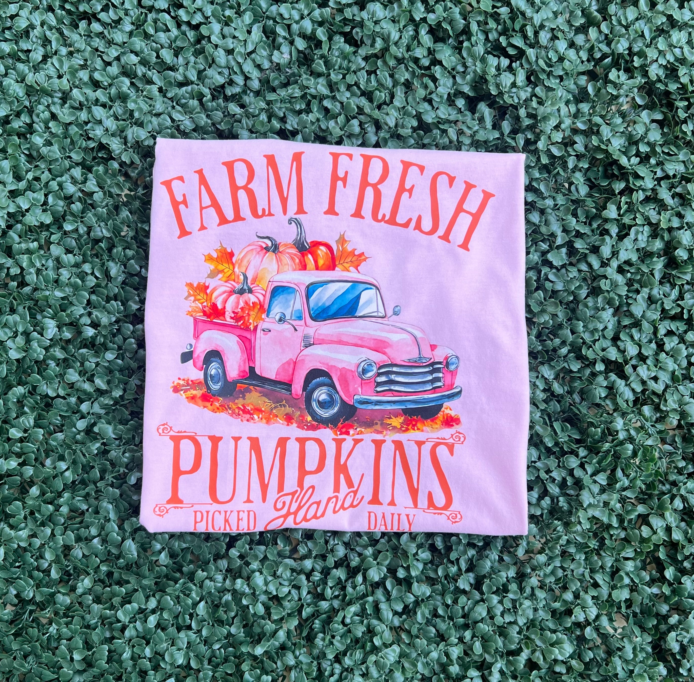 Fall 2025: Farm Fresh Pumpkin on CC Blossom