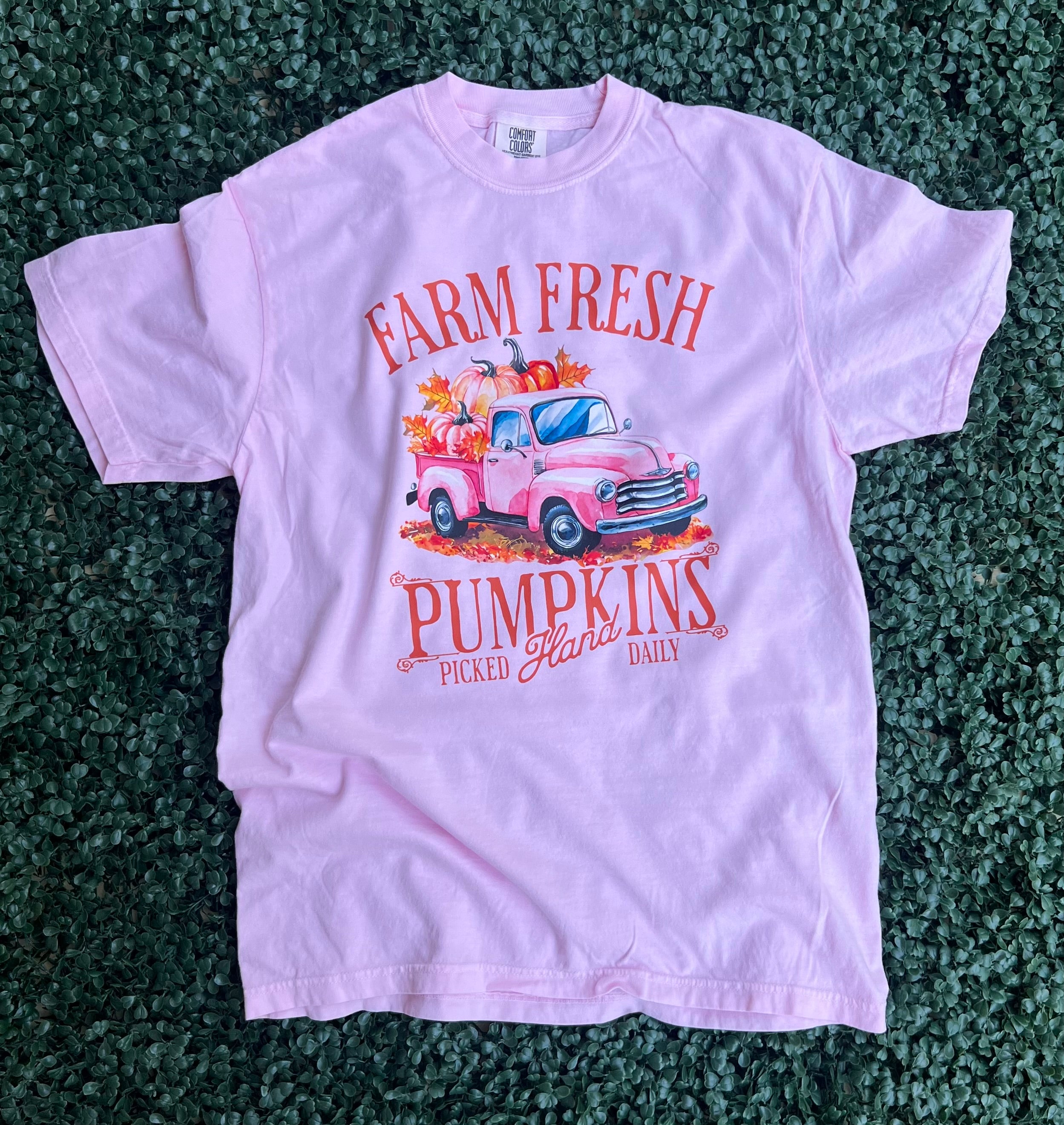 Fall 2025: Farm Fresh Pumpkin on CC Blossom