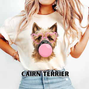 BubbleGum Dog: Cairn Terrier