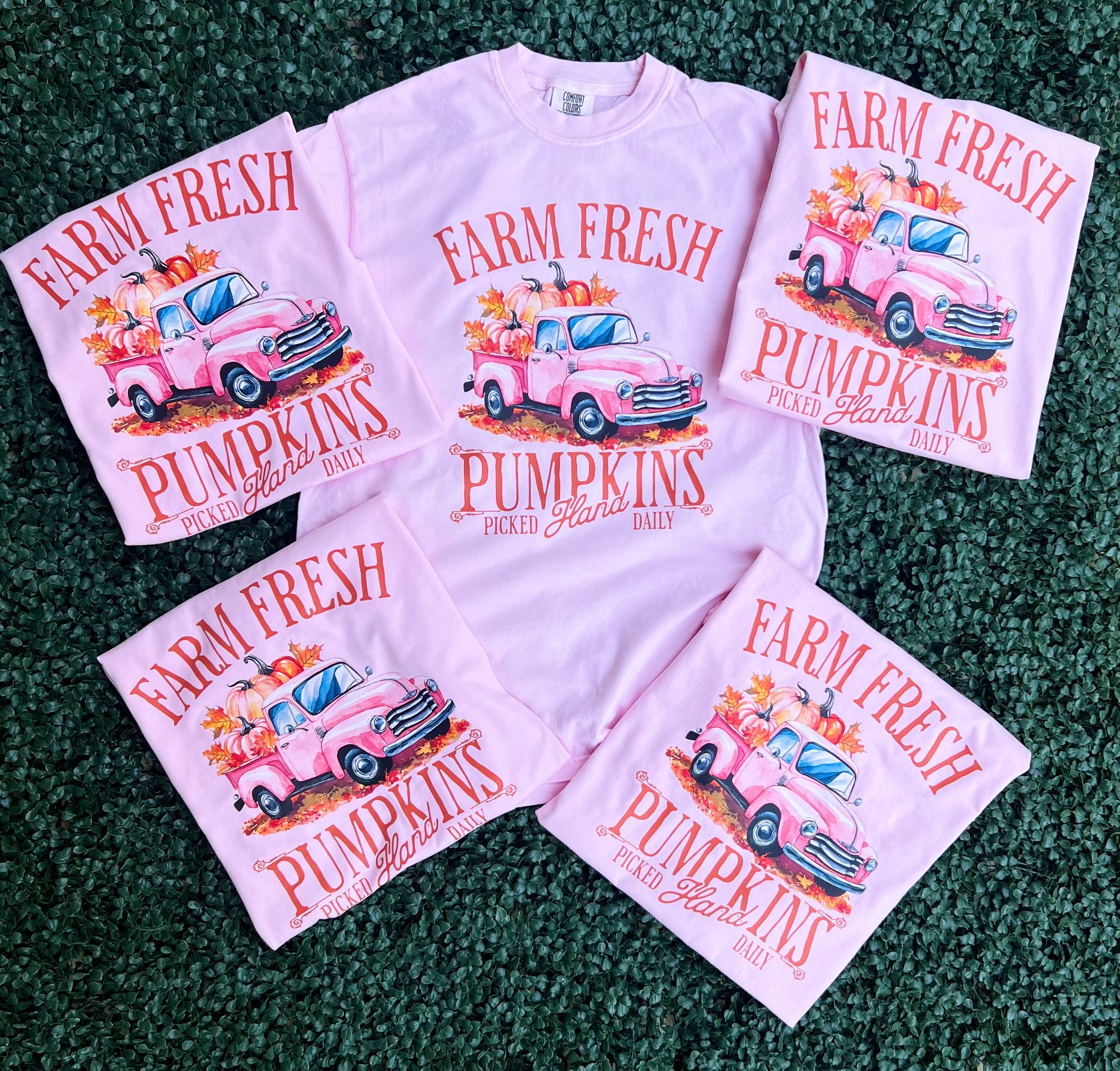 Fall 2025: Farm Fresh Pumpkin on CC Blossom