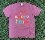 Load image into Gallery viewer, Oh Come Let Us Adore Him Colorful on Port &amp; Co Wineberry
