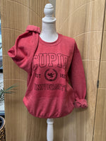 Load image into Gallery viewer, Cupid University Sweatshirt on Heather Vintage Red
