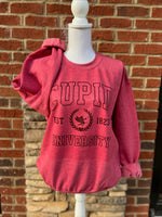 Load image into Gallery viewer, Cupid University Sweatshirt on Heather Vintage Red
