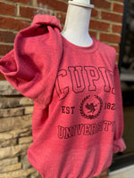 Load image into Gallery viewer, Cupid University Sweatshirt on Heather Vintage Red
