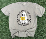 Load image into Gallery viewer, Ain't No Ghost Like The Holy Ghost on Comfort Colors (Shown on Granite)
