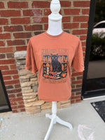 Load image into Gallery viewer, Keep The Candy I'll Take Books Cat on Comfort Colors (Shown on Yam)
