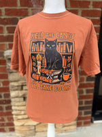 Load image into Gallery viewer, Keep The Candy I'll Take Books Cat on Comfort Colors (Shown on Yam)
