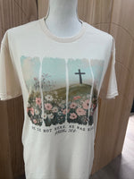Load image into Gallery viewer, He Is Not Here He Has Risen Flower Field with Cross on Cream
