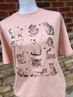 Load image into Gallery viewer, Vintage Cat Collage on Gildan Softstyle Dusty Rose

