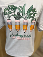 Load image into Gallery viewer, Planting Seeds Of Success on Gildan Softstyle Ice Gray
