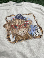 Load image into Gallery viewer, Barn In The USA on Ash Gray
