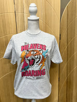 Load image into Gallery viewer, The Heavens Are Roaring on Ash Gray Tee
