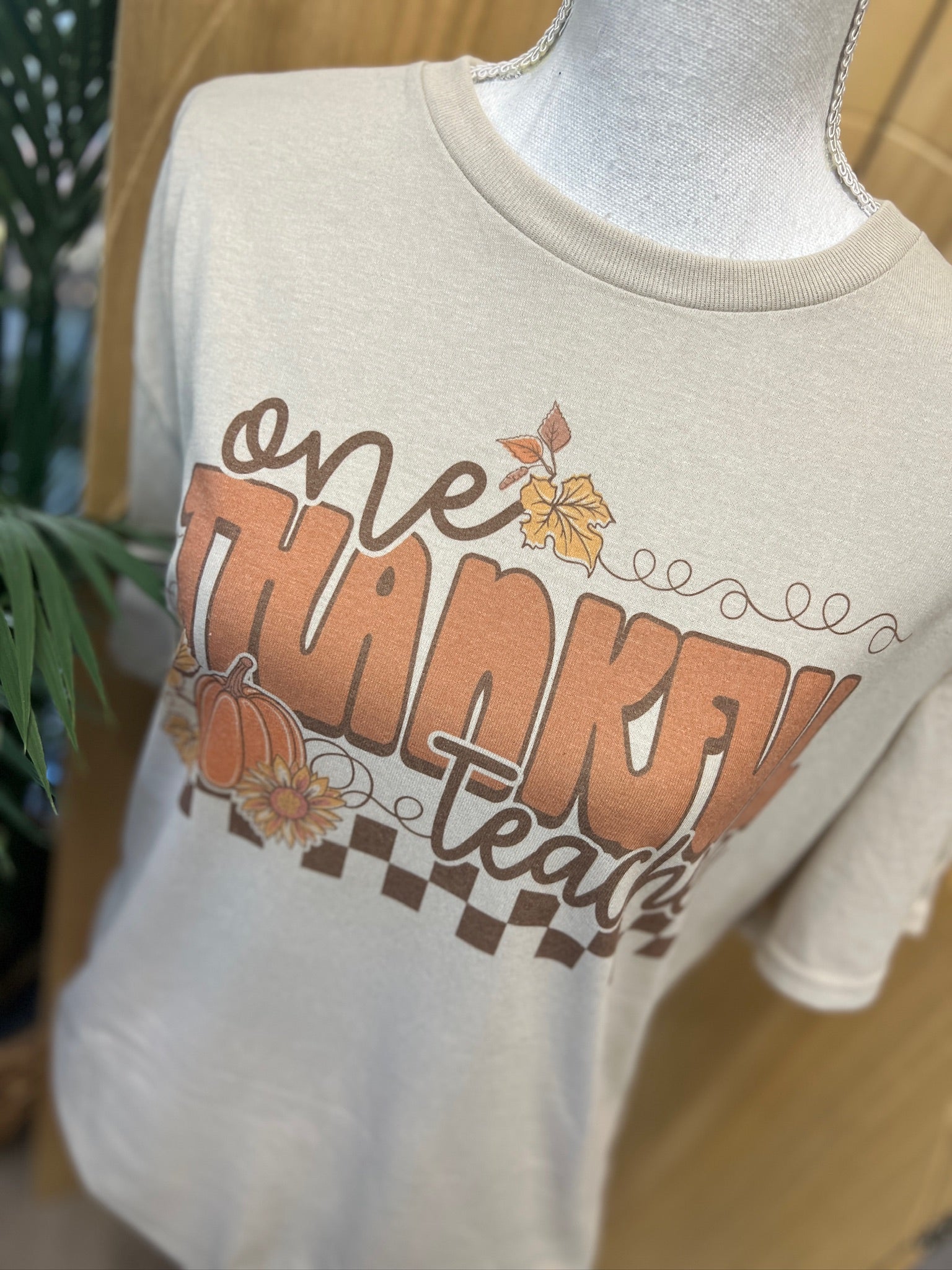 One Thankful Teacher on Sand