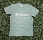 Load image into Gallery viewer, Unashamed Of The Gospel on Comfort Colors (Shown on Light Green)
