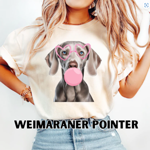 BubbleGum Dog: Weimaraner Pointer